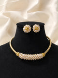 Pearl sari set
