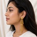 Kashmiri earrings ✨
